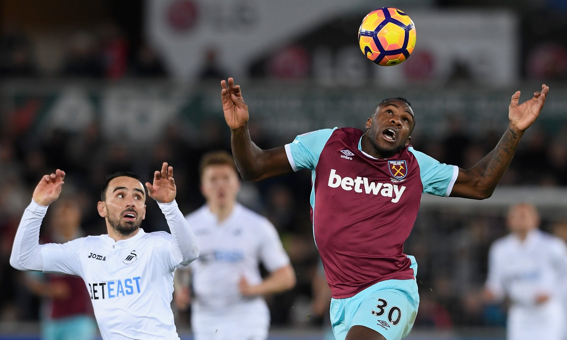 湾的科考任 湾的科考任